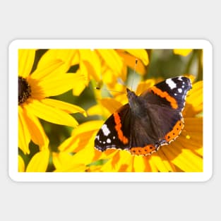 Red Admiral; Yellow Flower Sticker